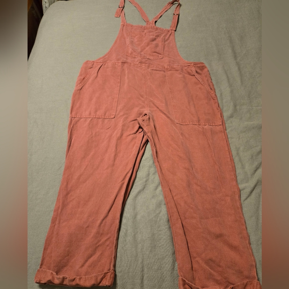 Aerie Terracotta Overalls